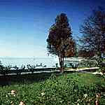 Balaton - Suedufer