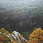 Malerische Landschaft